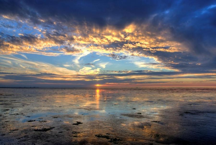 Camping Wad Noch Meer Anna Paulowna Buitenkant foto